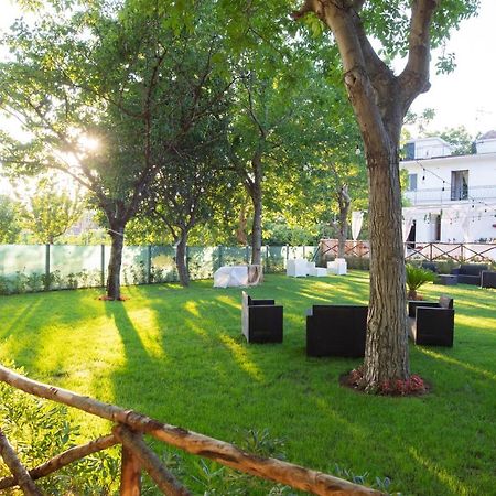 Donna Rosita Hotel San Felice a Cancello Ngoại thất bức ảnh